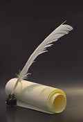 Crown Feather pen